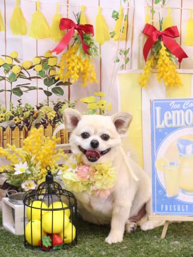 20240429ポロくん